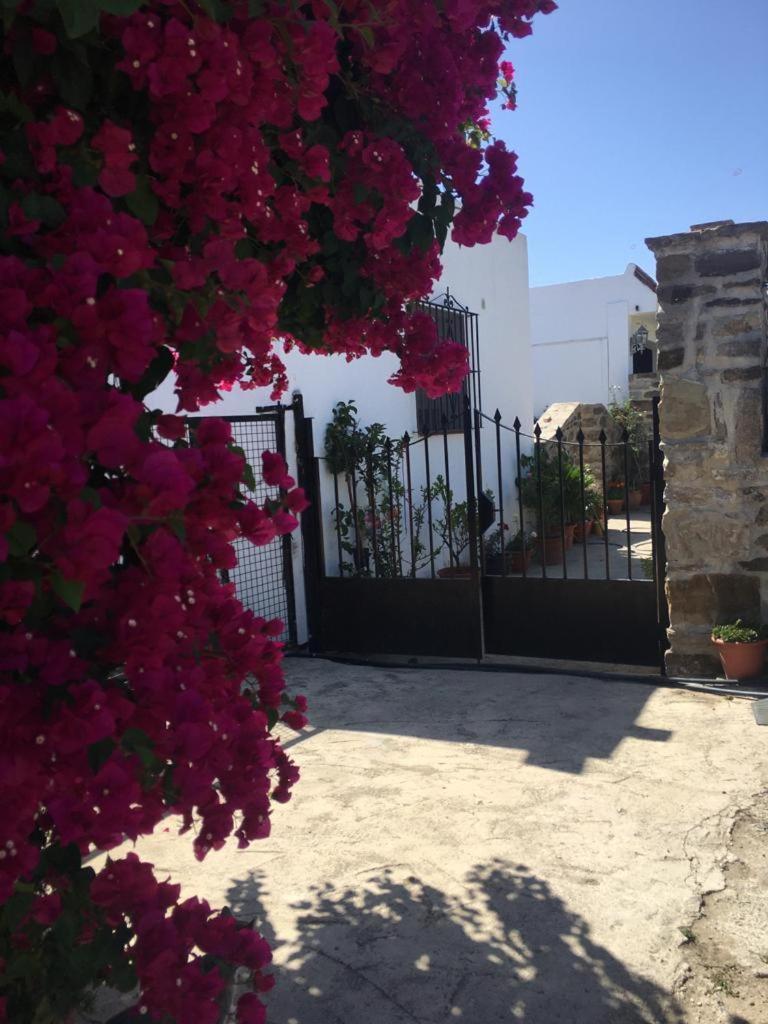 Apartamento Las Adelfas Tarifa Exterior foto